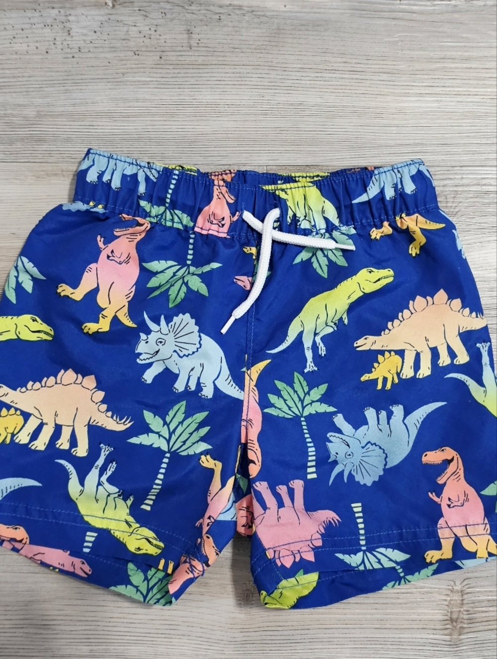 Old Navy Toddler Boys Dinosaur Swim Trunks Size 2t
